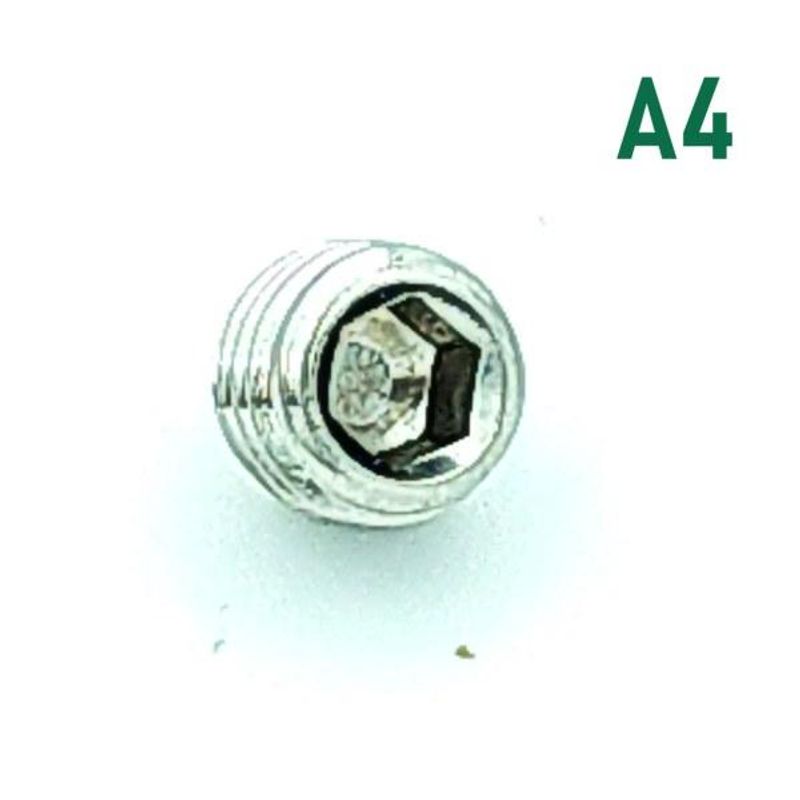M5x10 Settskrue 10 stk Syrefast A4